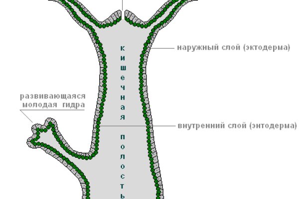 Ссылки омг мега